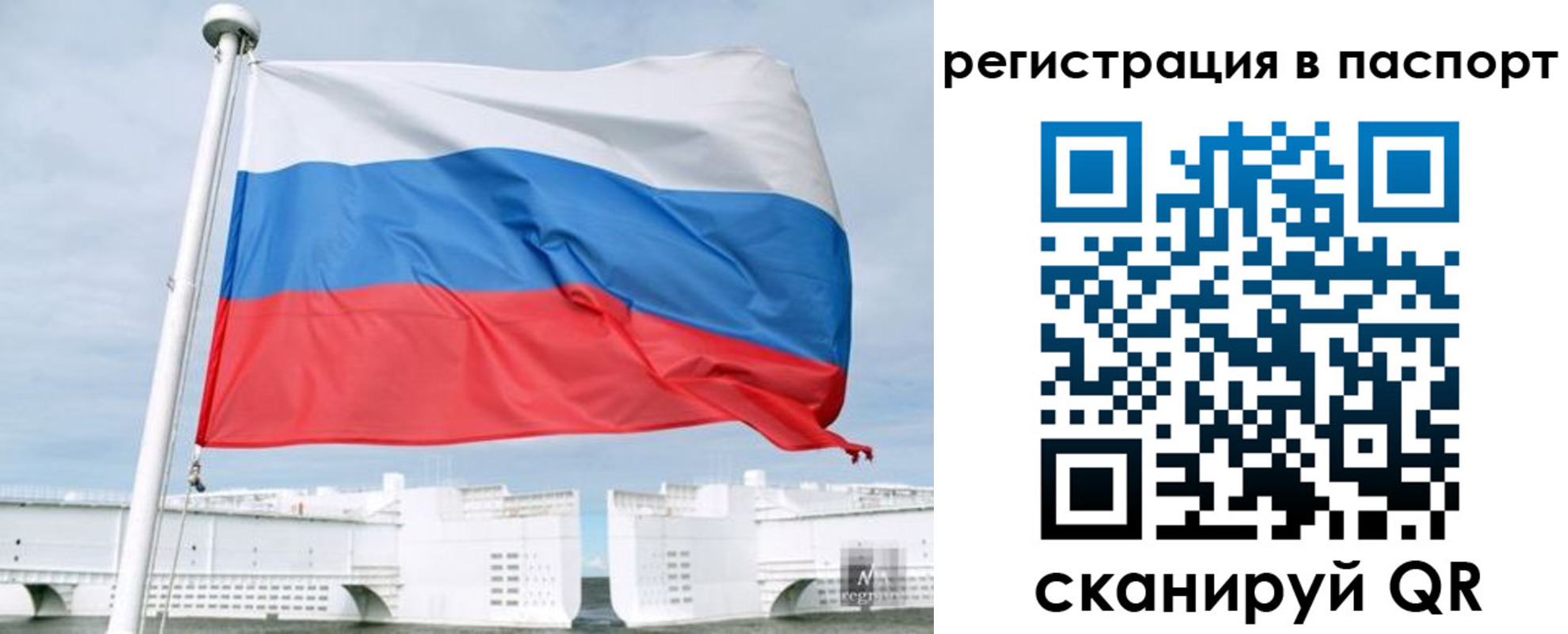 регистрация в Владимире